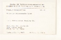 黃菀藏品圖，第2張