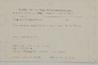 尼泊爾籟簫藏品圖，第2張