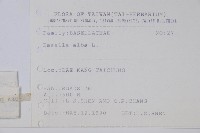 落葵藏品圖，第2張