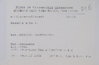 落葵藏品圖，第2張