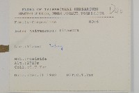 臺灣馬蘭藏品圖，第2張