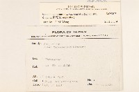 黃菀藏品圖，第2張