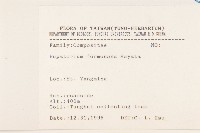 臺灣澤蘭藏品圖，第2張