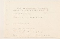 臺灣澤蘭藏品圖，第2張