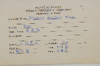 茵蔯蒿藏品圖，第2張