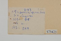 茵蔯蒿藏品圖，第2張