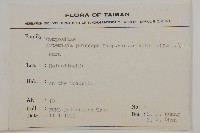 登錄號:S075427藏品圖，第2張