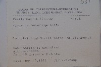 呂宋莢迷藏品圖，第2張