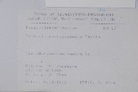 玉山小蘗藏品圖，第2張