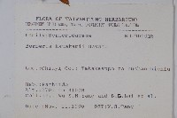 臺灣小蘗藏品圖，第2張