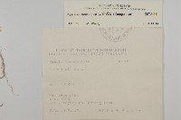 霍香薊藏品圖，第2張