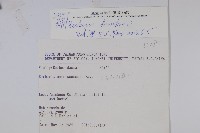 臺灣小蘗藏品圖，第2張