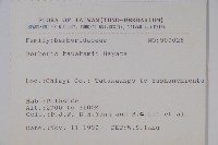 臺灣小蘗藏品圖，第2張