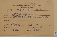 草珊瑚、紅果金粟蘭藏品圖，第2張