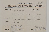 草珊瑚、紅果金粟蘭藏品圖，第2張