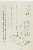 鄧氏胡頹子藏品圖，第2張