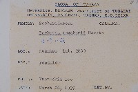 臺灣小蘗藏品圖，第2張