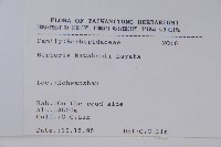 臺灣小蘗藏品圖，第2張