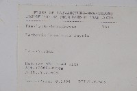 臺灣小蘗藏品圖，第2張