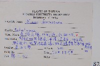 臺灣赤楊、臺灣榿木藏品圖，第2張
