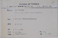 臺灣赤楊、臺灣榿木藏品圖，第2張