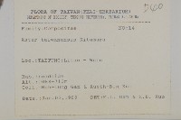 臺灣馬蘭藏品圖，第2張