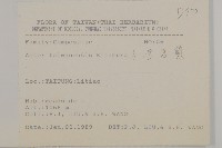 臺灣馬蘭藏品圖，第2張