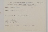 臺灣馬蘭藏品圖，第2張