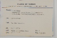 玉山抱莖籟簫藏品圖，第2張