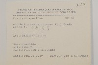 抱莖籟簫藏品圖，第2張