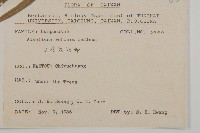 臺灣鬼督郵藏品圖，第2張