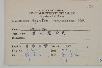 紫花霍香薊藏品圖，第2張