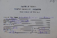 紅子莢迷藏品圖，第2張