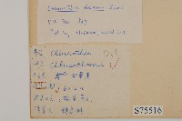 臺灣及己藏品圖，第2張