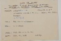 草珊瑚、紅果金粟蘭藏品圖，第2張