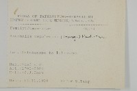 尼泊爾籟簫藏品圖，第2張