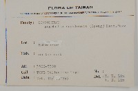 尼泊爾籟簫藏品圖，第2張