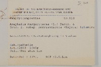 玉山抱莖籟簫藏品圖，第2張