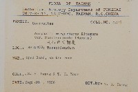 玉山抱莖籟簫藏品圖，第2張