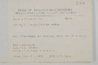 抱莖籟簫藏品圖，第2張