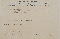 抱莖籟簫藏品圖，第2張