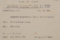 抱莖籟簫藏品圖，第2張