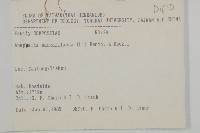 抱莖籟簫藏品圖，第2張