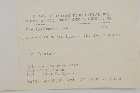 抱莖籟簫藏品圖，第2張