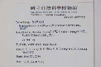 水鴨腳藏品圖，第2張