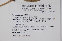 毬蘭藏品圖，第2張