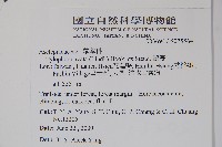 鷗蔓藏品圖，第2張