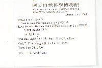 能高佛甲草藏品圖，第2張