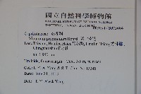 高山莢迷藏品圖，第2張