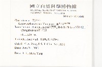 星果佛甲草藏品圖，第2張